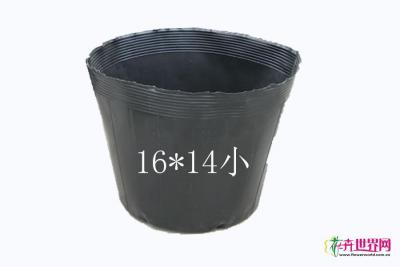 营养杯小16*14